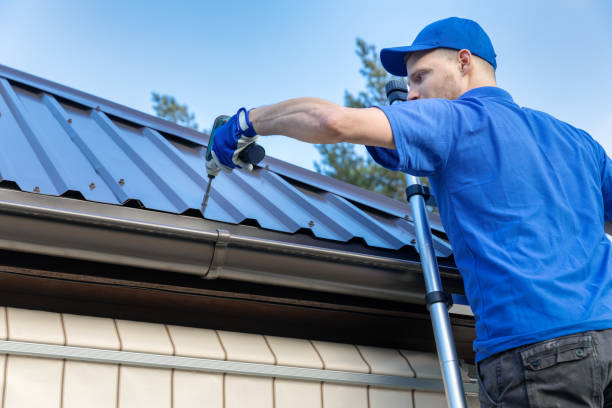 Best Roof Moss and Algae Removal  in Sumner, IA